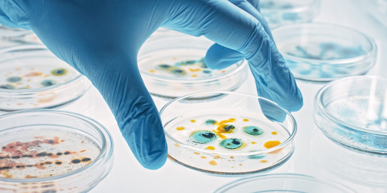 Bahaya Superbug! WHO Imbau Bijak Gunakan Antibiotik
