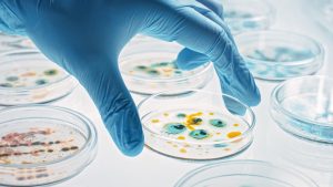 Bahaya Superbug! WHO Imbau Bijak Gunakan Antibiotik