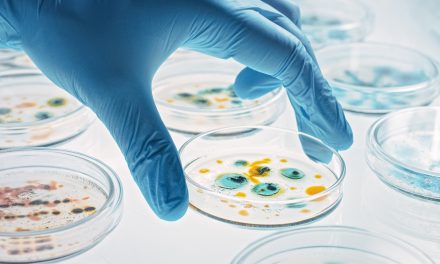 Bahaya Superbug! WHO Imbau Bijak Gunakan Antibiotik
