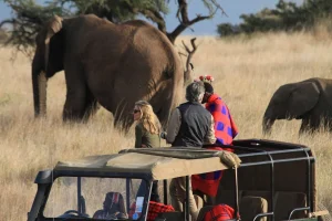 IUCN Perbarui Status Satwa Kritis & Tetapkan Suaka Baru Di Afrika