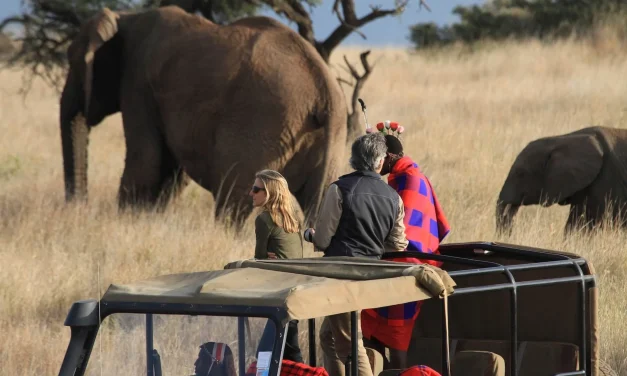 IUCN Perbarui Status Satwa Kritis & Tetapkan Suaka Baru Di Afrika