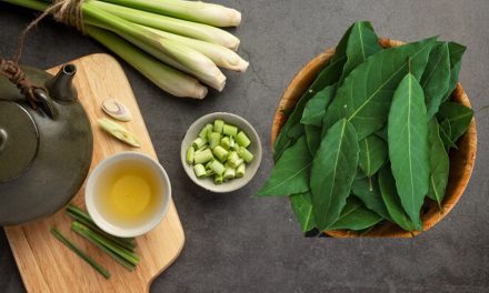 Rahasia Daun Salam Dan Sereh Wangi Tanpa Busuk Di Kulkas